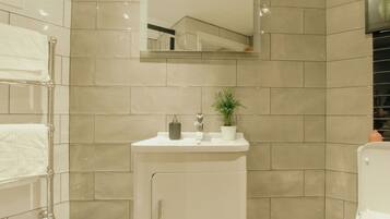 A modern bathroom with a white sink, a mirror, and a plant.