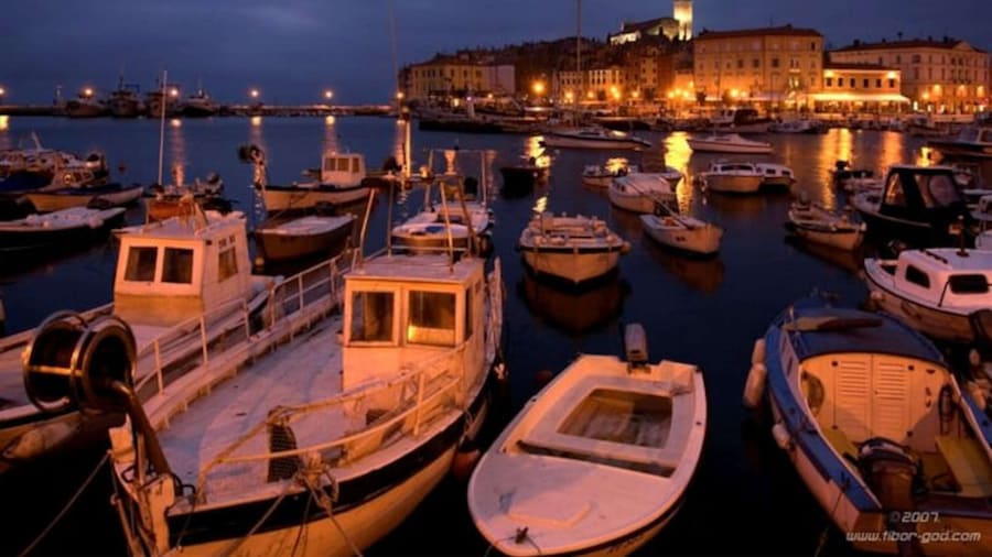 Villa in Rovinj Near Beach & Old Town