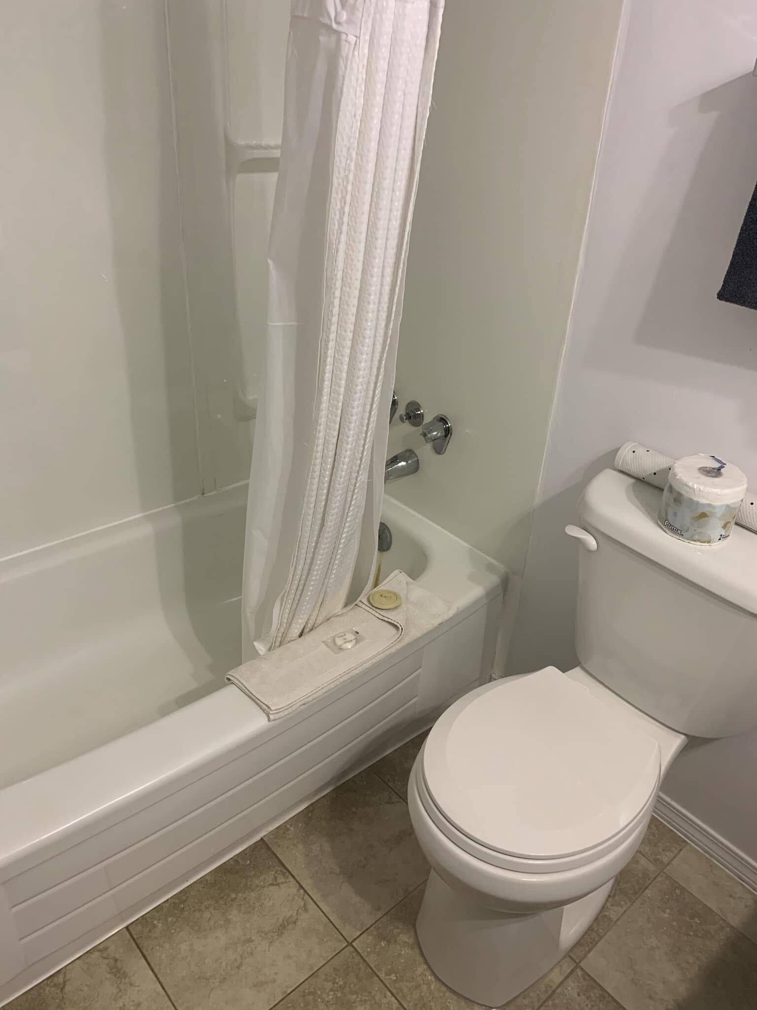 Un bagno con vasca, water e tenda da doccia.