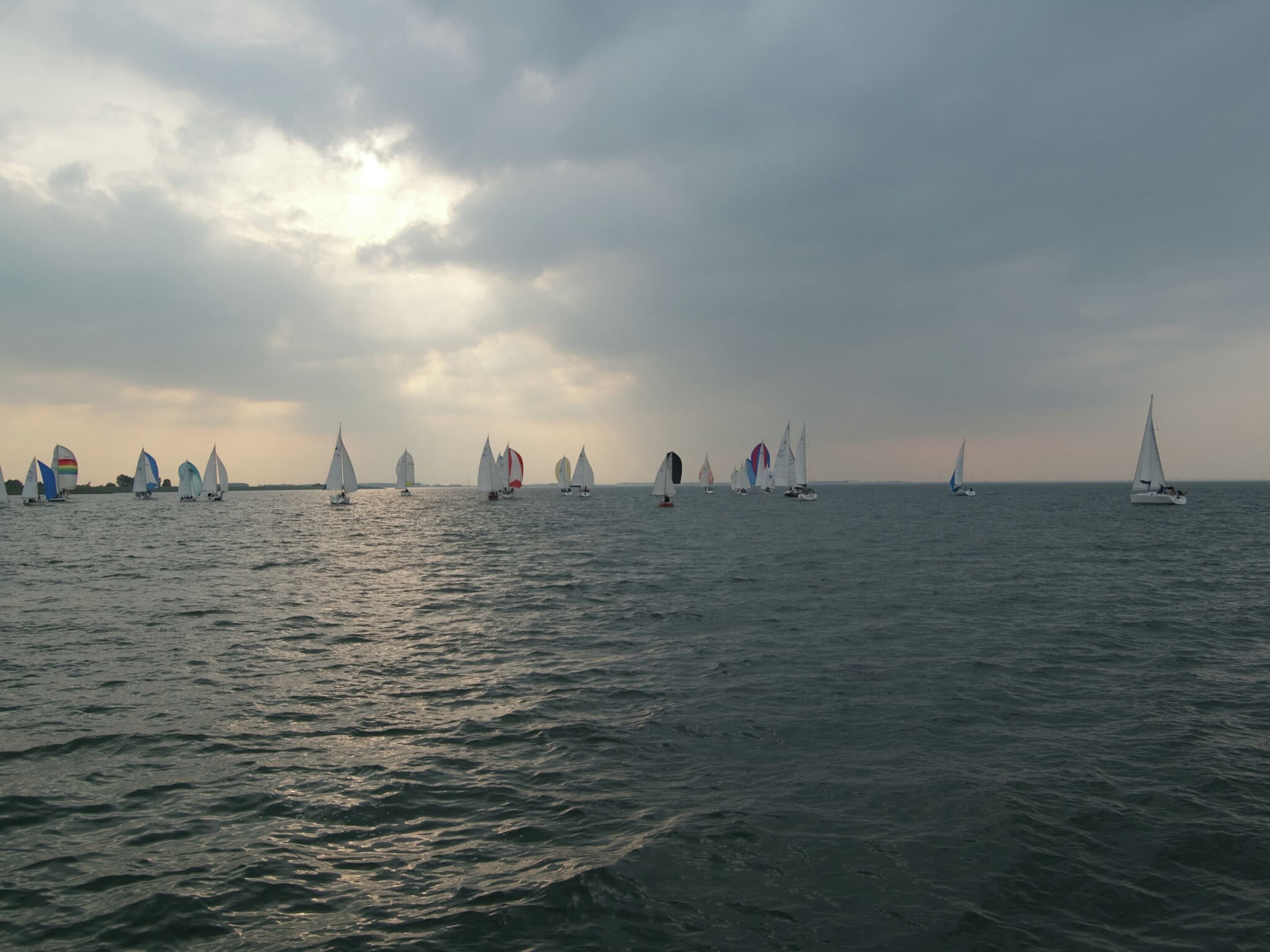 A calm sea with multiple sailboats.