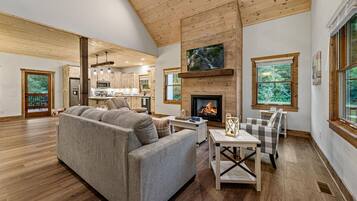 Smart TV, fireplace, books