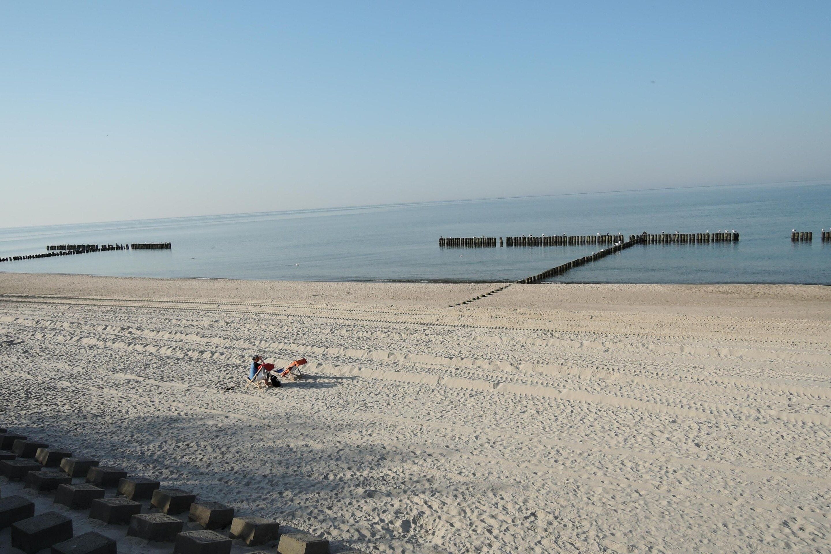 A beach with a clear sky, a sandy shore, and a row of wooden posts in the water.