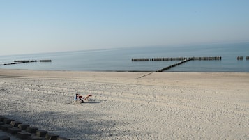 A beach with a clear sky, a sandy shore, and a row of wooden posts in the water.