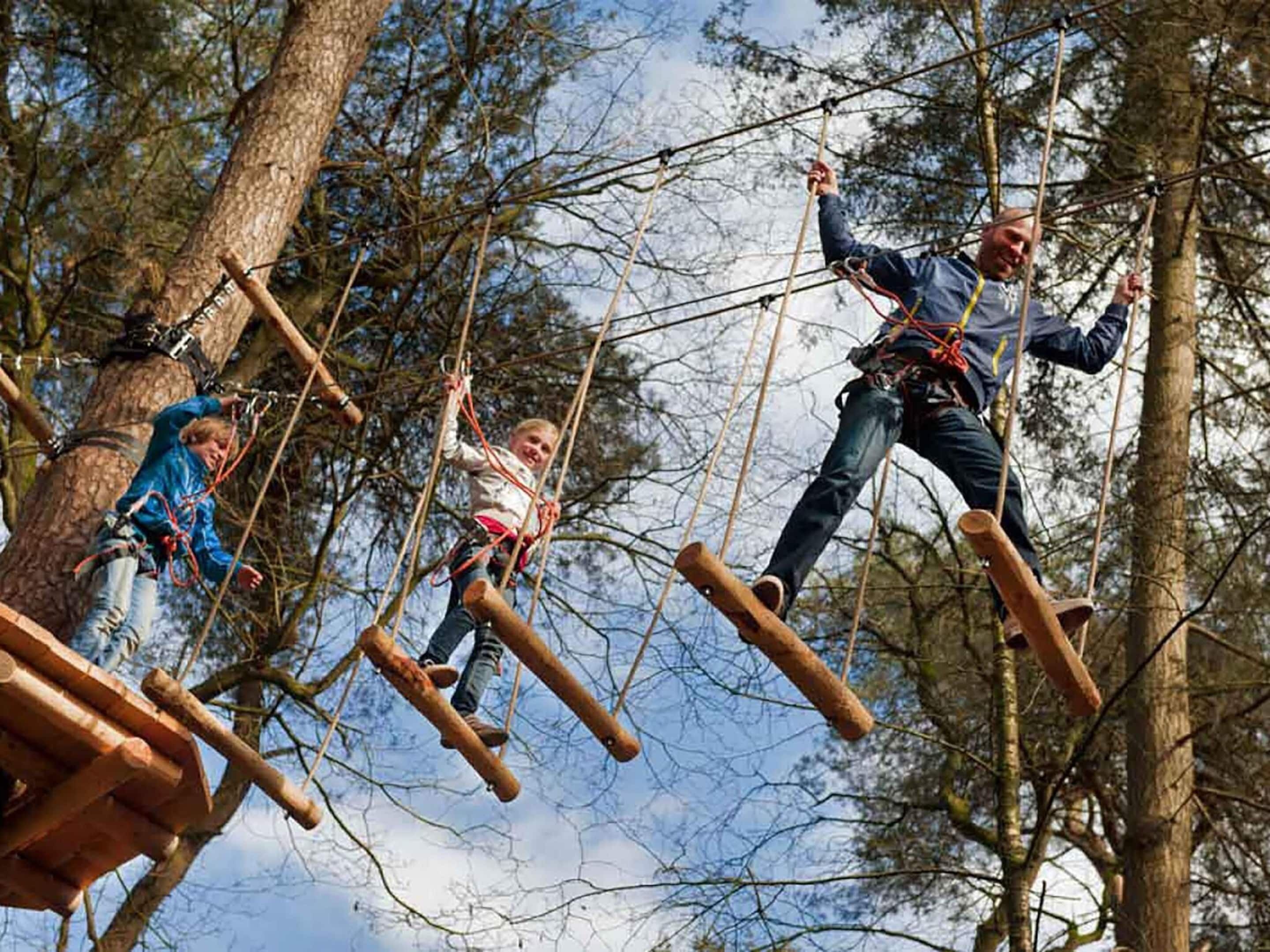 Een groep mensen neemt deel aan een activiteit in de natuur met touwen en houten platforms in een bos.