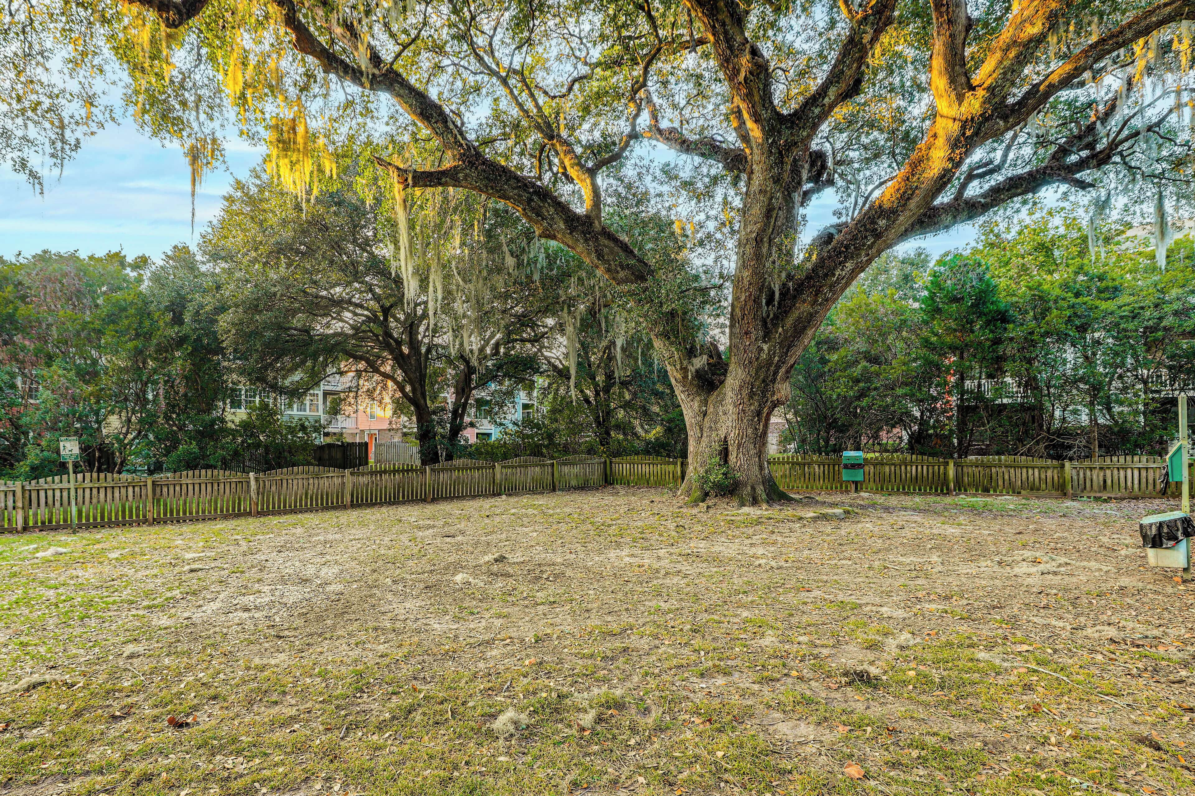 A large tree with sprawling branches and hanging moss in a park-like setting.