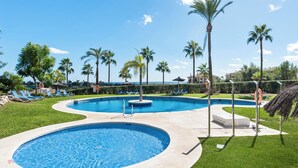 Una piscina amb una secció circular i una rectangular, envoltada de palmeres i gandules.