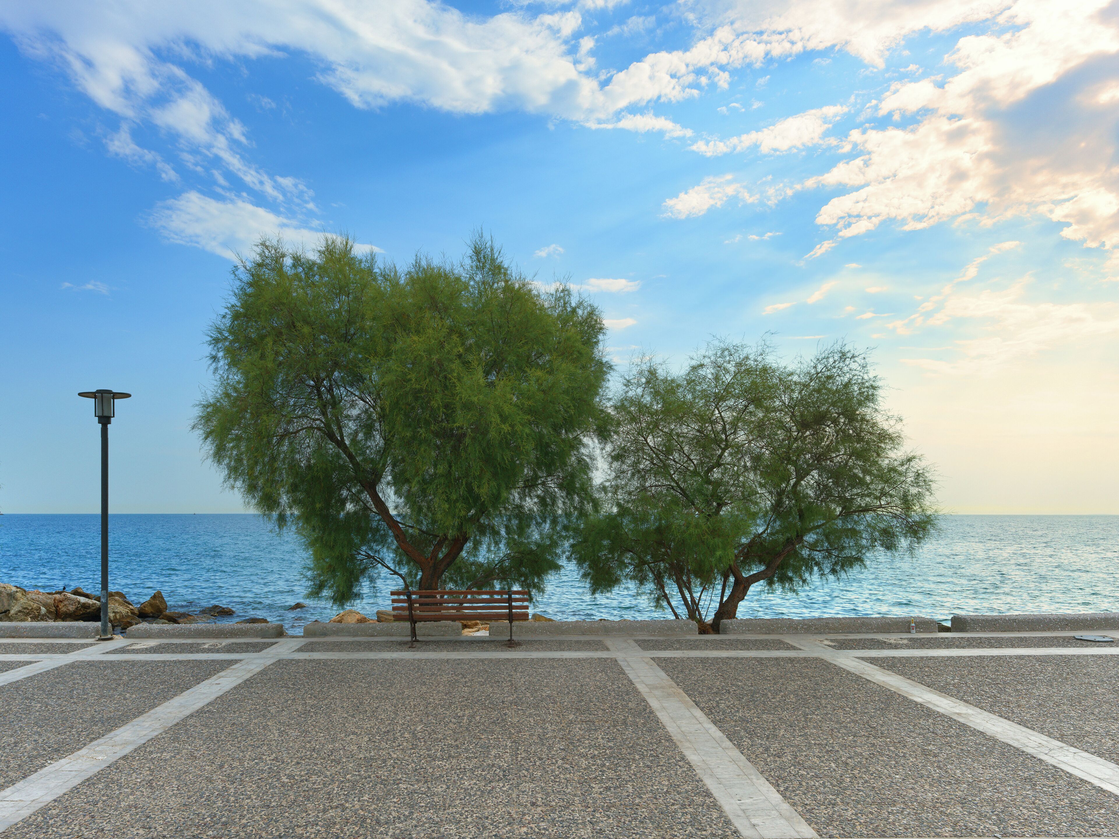 A paved walkway with a bench and trees, overlooking a body of water.