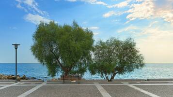 A paved walkway with a bench and trees, overlooking a body of water.