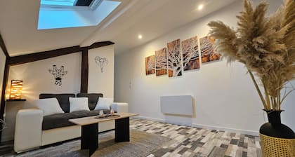 Bel appartement mansardé à quelques pas du centre ville