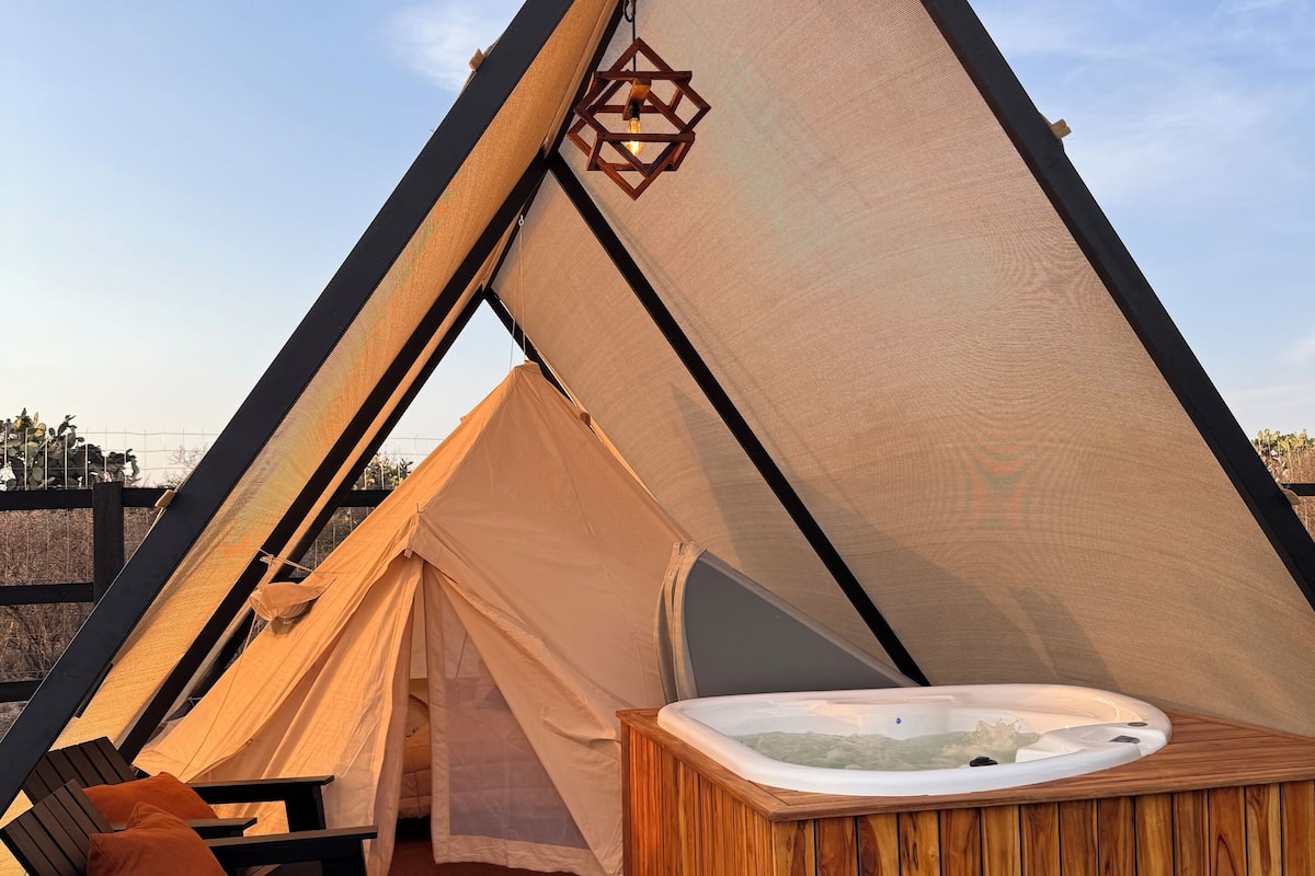 Comfort Tent | Terrace/patio