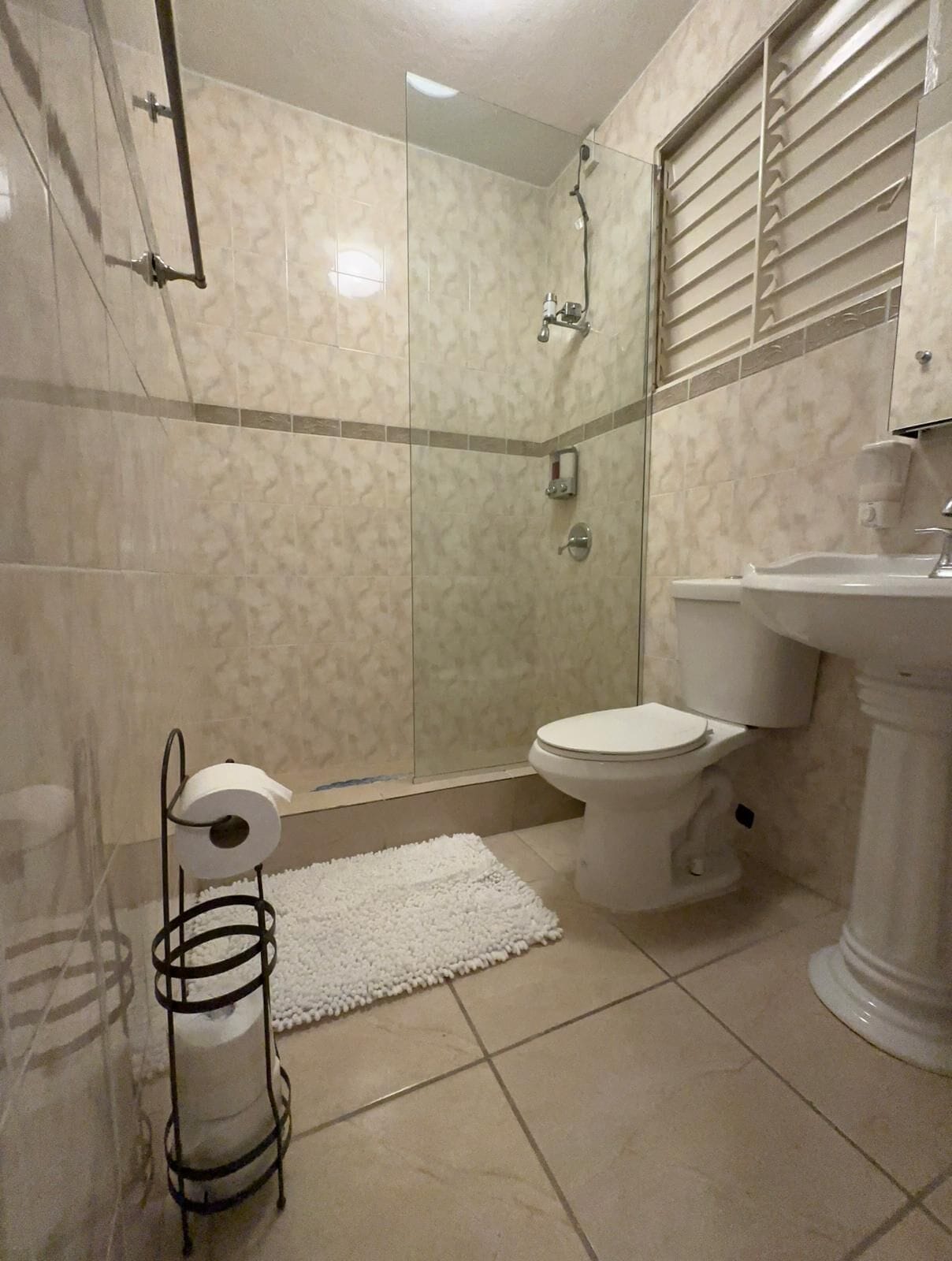 Asciugacapelli, asciugamani, sapone, shampoo