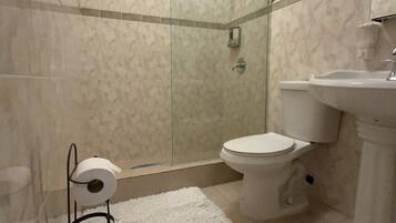 Asciugacapelli, asciugamani, sapone, shampoo