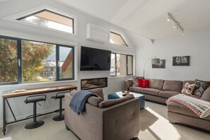 Smart TV, fireplace, books, stereo