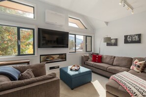 Smart TV, fireplace, books, stereo