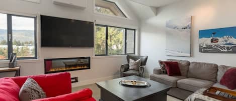 Smart TV, fireplace, books, stereo