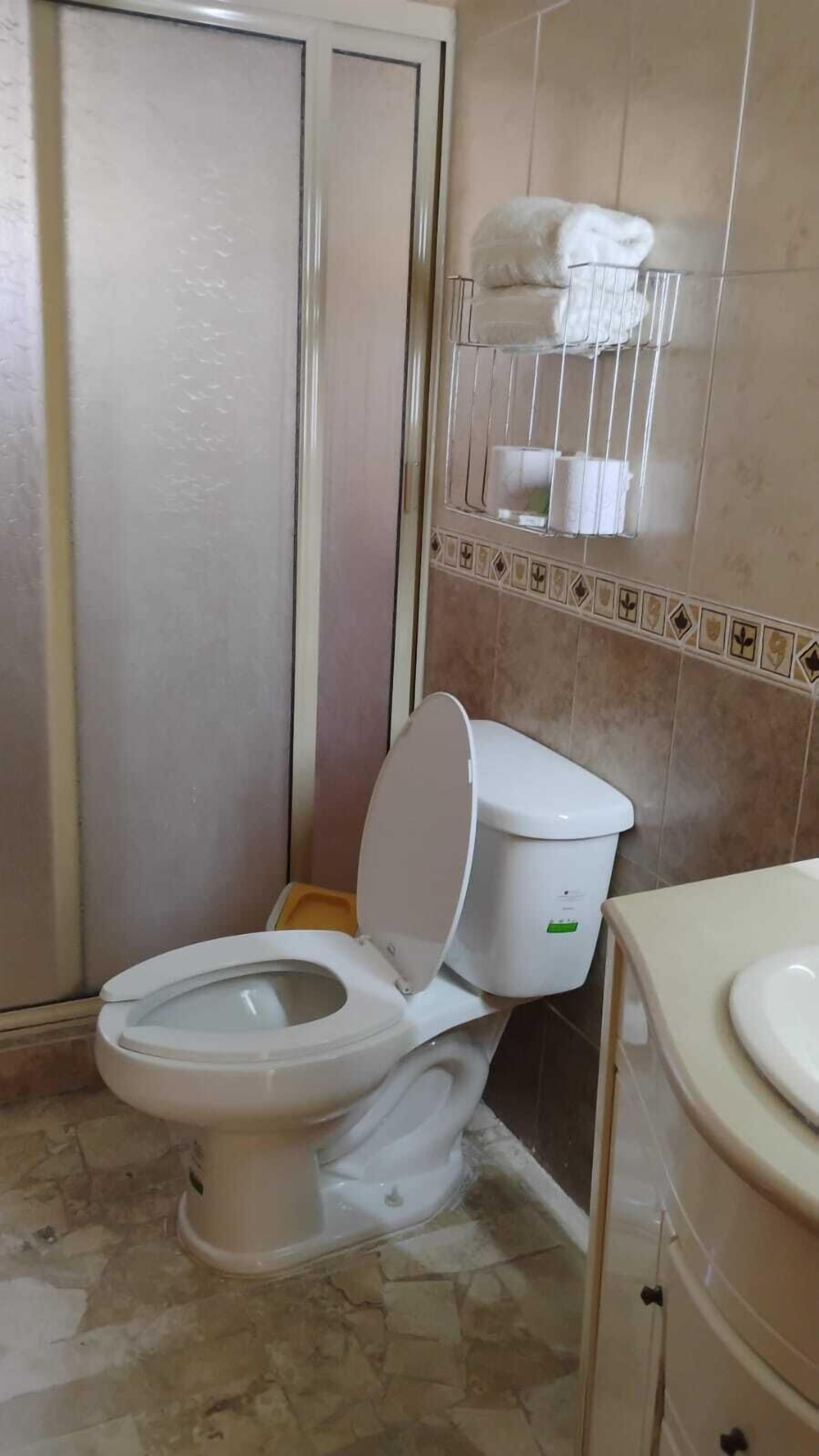Une salle de bain équipée de toilettes, d’un lavabo et d’un porte-serviettes.