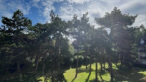 Ein Park mit Bäumen und einem Gebäude im Hintergrund.