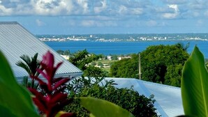 A coastal view with a metal roof, greenery, and a distant cityscape.