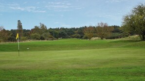 Un campo de golf con un mástil de bandera, árboles y cielo despejado.