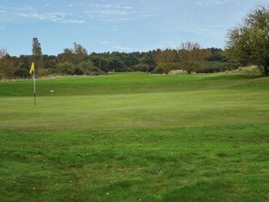 Un campo de golf con un mástil de bandera, árboles y cielo despejado.