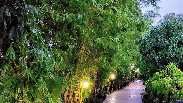 A pathway flanked by dense foliage and illuminated by street lamps. - Rajgad Farms & Agritourism (Pune)