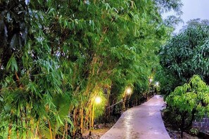 A pathway flanked by dense foliage and illuminated by street lamps. - Rajgad Farms & Agritourism (Pune)