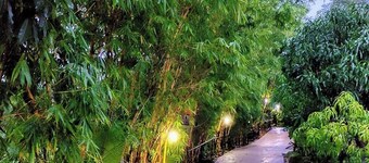 Rajgad Farms & Agritourism