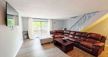 Charming 3-bedroom condo in beautiful Rochester with AC, WiFi