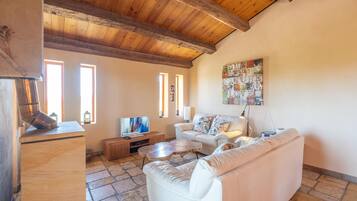 Télévision, cheminée, lecteur de DVD, table de tennis de table