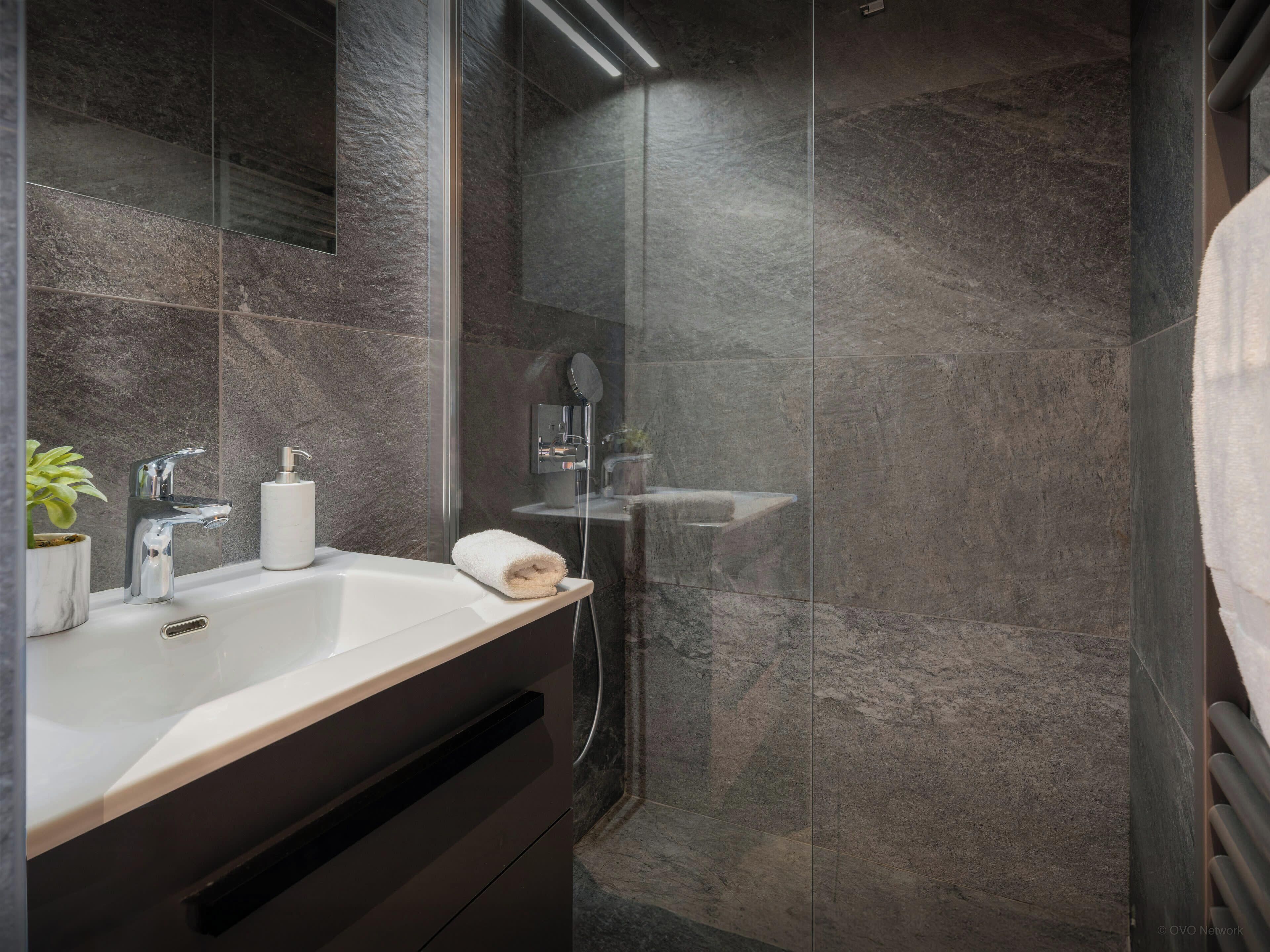 Shower, hair dryer, towels