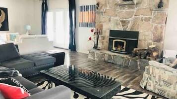 TV, fireplace, books