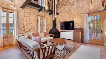 TV, fireplace, table tennis