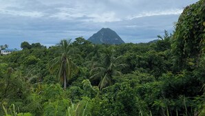 Een weelderig groen landschap met dichte begroeiing en een berg op de achtergrond.