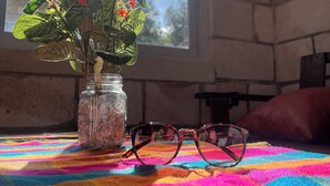 Una habitación con pared de ladrillo, una ventana, una manta de colores, un frasco con planta y flores, y un par de gafas.