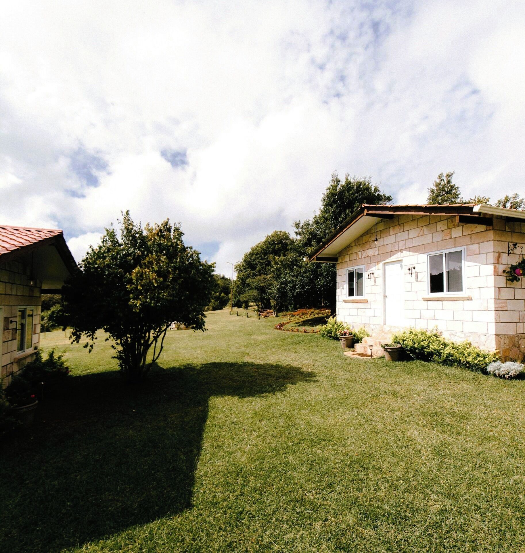 Zona residencial con dos casas, una con techo rojo y otra con techo color beige. Se observa un césped bien cuidado y un árbol en primer plano.