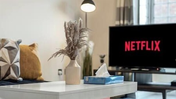 A modern living room with a white coffee table, a vase with dried plants, a tissue box, and a TV displaying the Netflix logo.