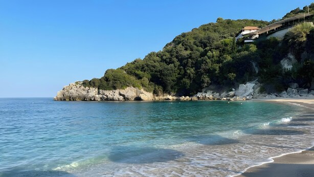 A beach with clear water, a sandy shore, and a forested hill in the background.