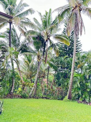 Property grounds - A wonderful property for 2 person (Pahoa)