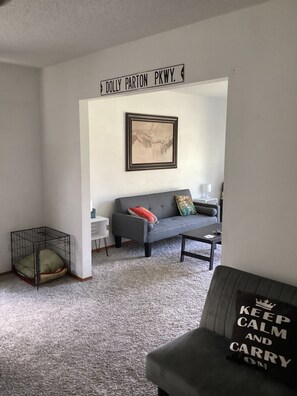 Smart TV, fireplace, DVD player, books
