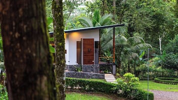 A modern house with a stone facade, a wooden door, and a small porch.