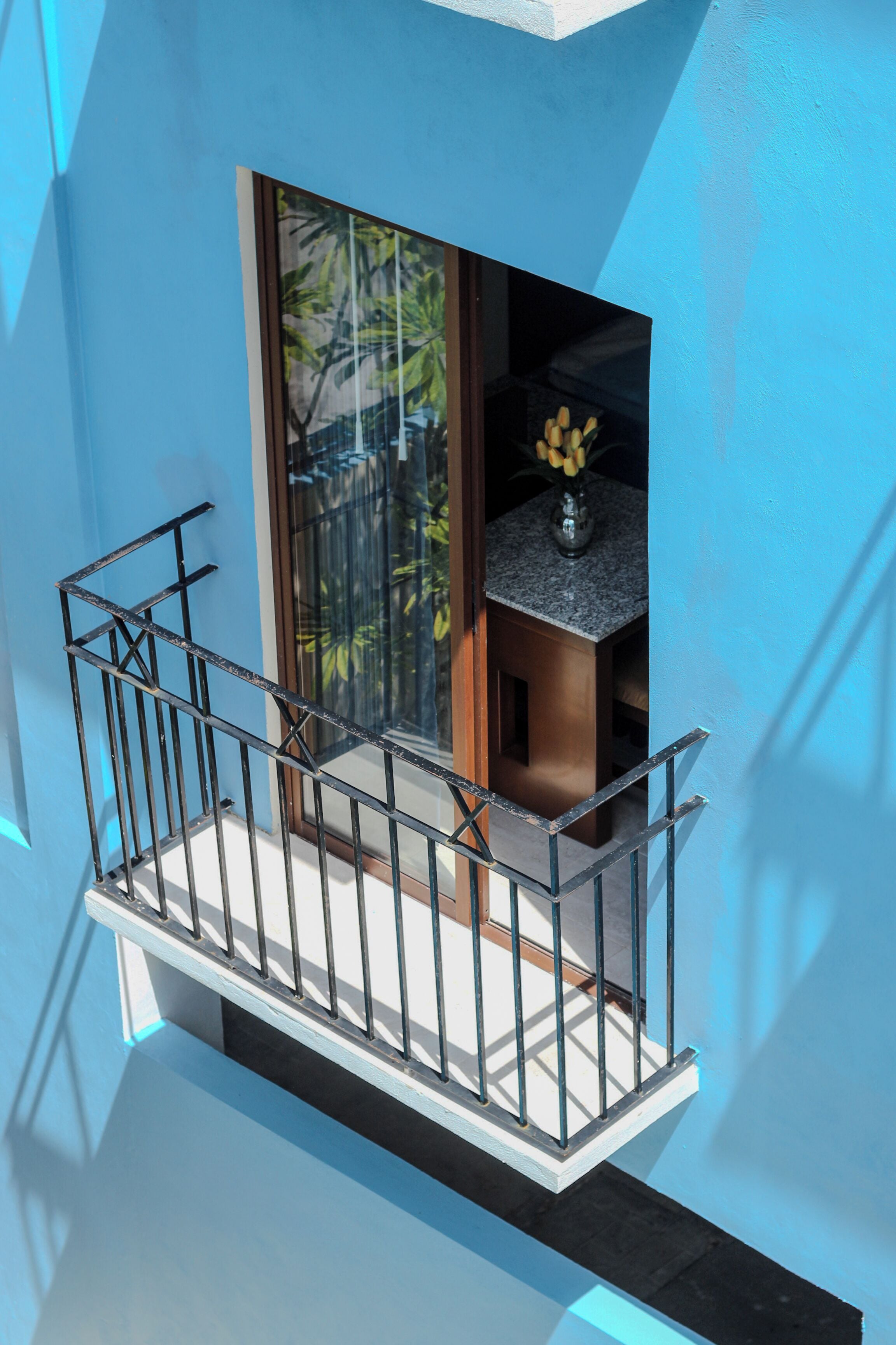 Vista desde la habitación