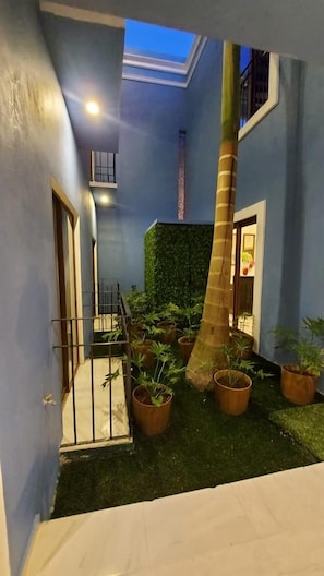 Garden view