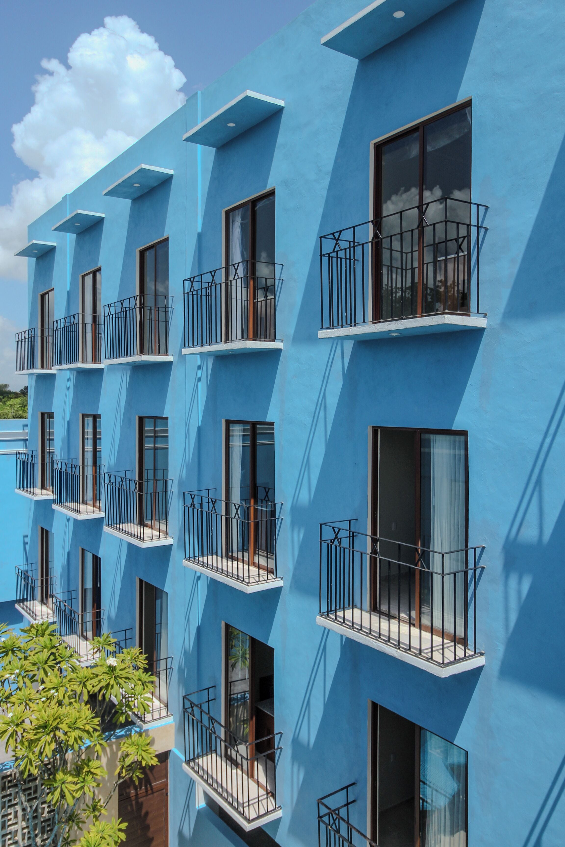 Vista desde la habitación