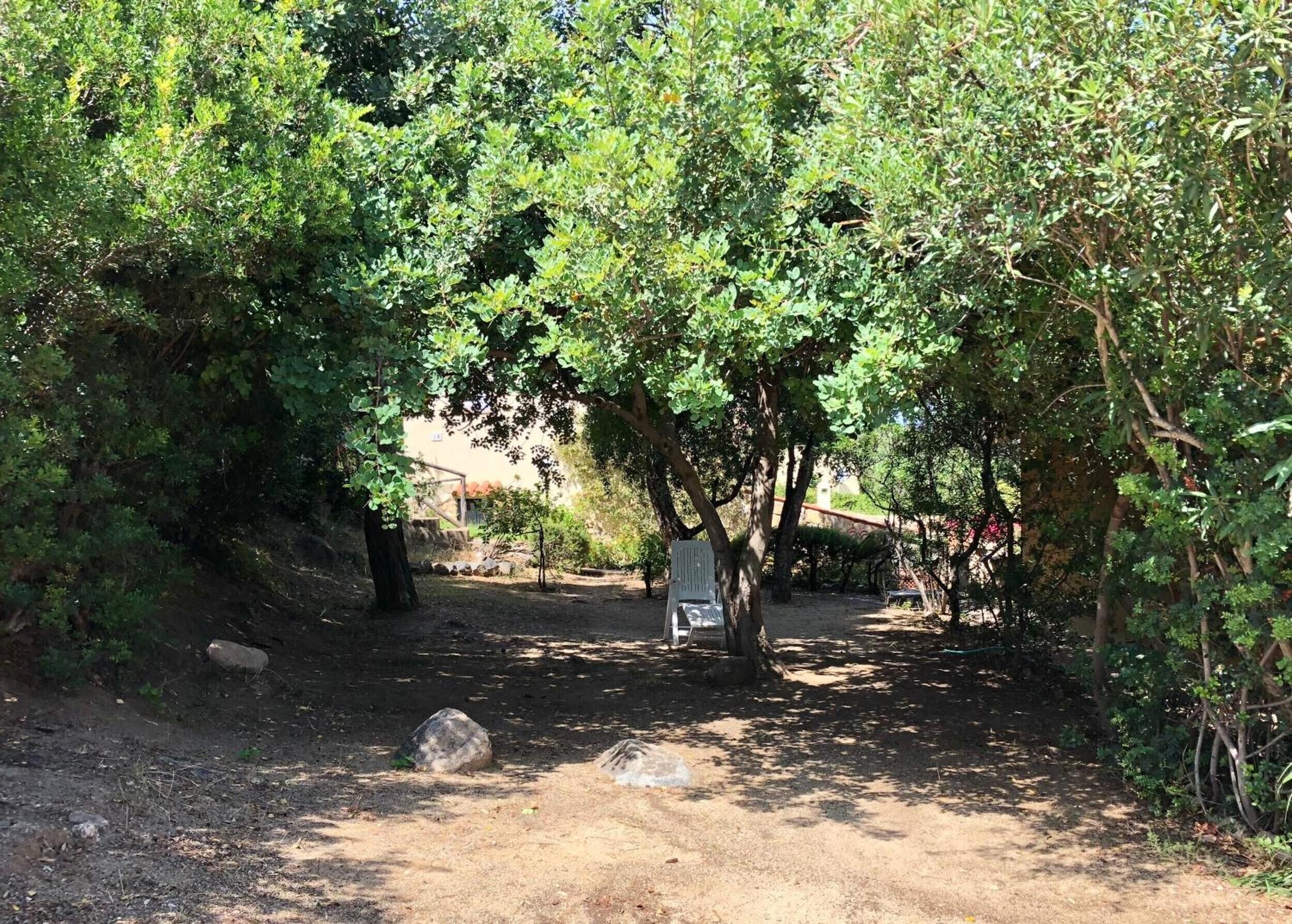 A natural setting with trees, a bench, and a signpost.