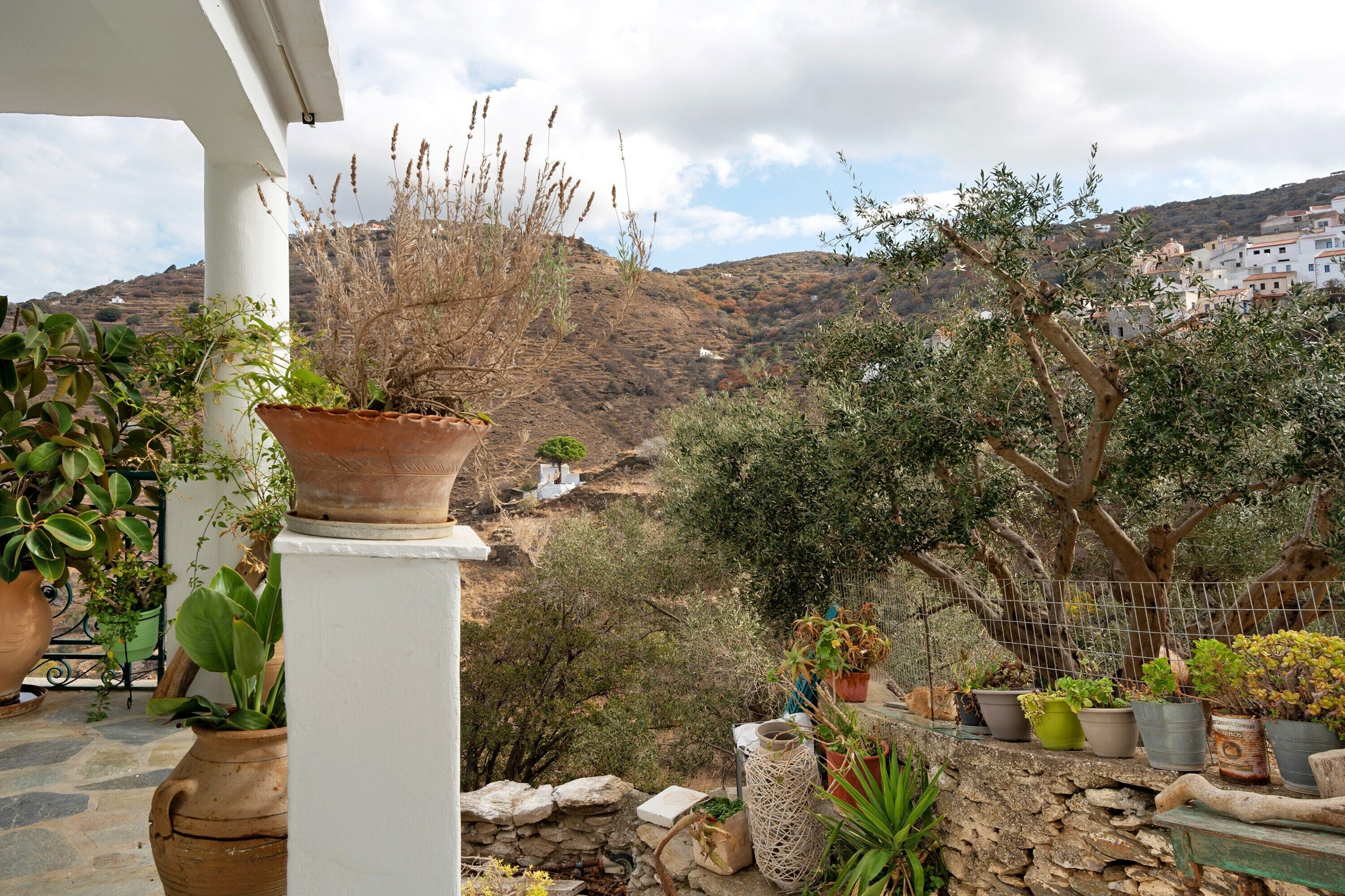 Áreas de la propiedad