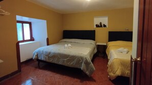 Un dormitorio con dos camas, una ventana y una lámpara en el techo.