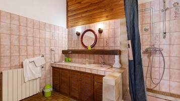 Ein Badezimmer mit Holzboden, einem Waschbecken mit Spiegel darüber, einer Dusche mit Brausekopf und einem Heizkörper.