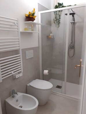 Shower, hair dryer, bidet, towels