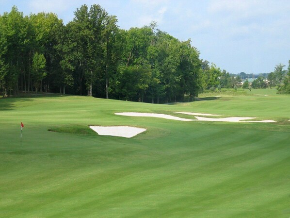 Een golfbaan met zandbakken en een vlaggenstok.