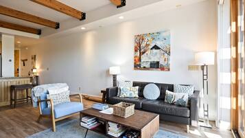 TV connectée, cheminée, livres, chaßne hi-fi